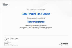 Read more about the article Network Defense